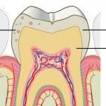 Dientes blanqueamiento