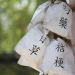 medicina tradicional china- dientes