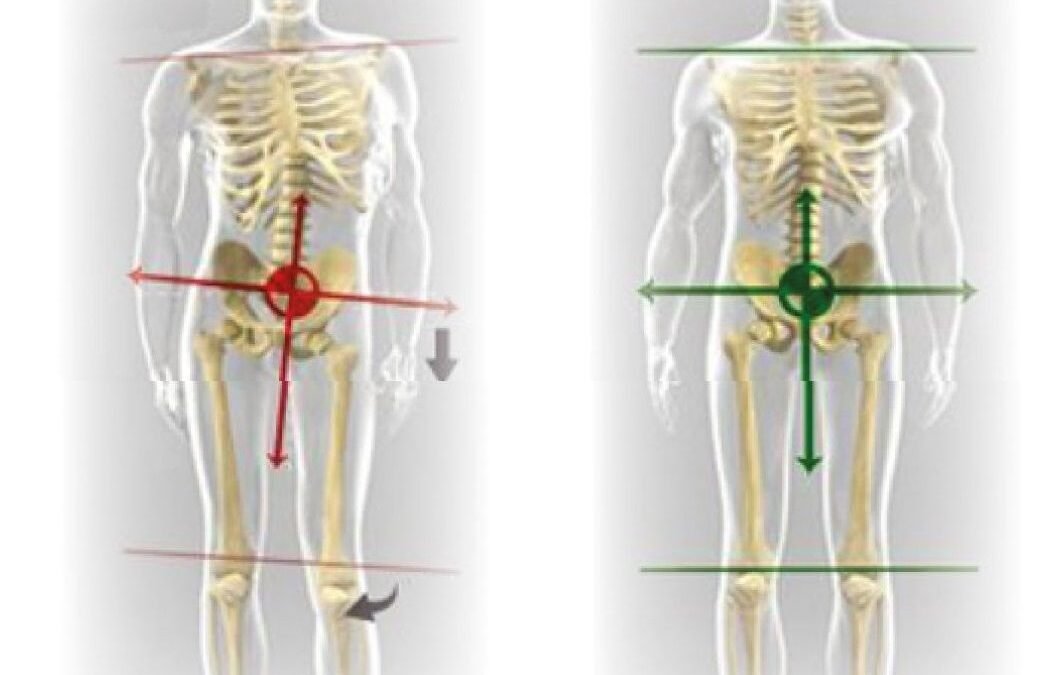 168-equilibrio_postural_y_disfunciones_articulares