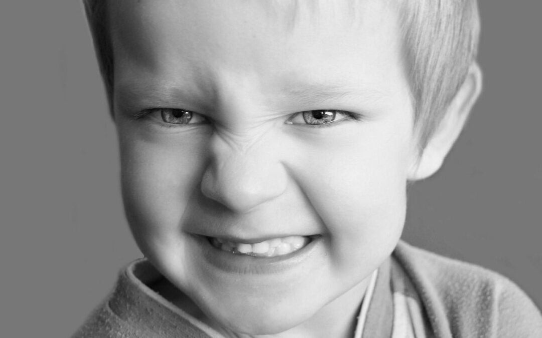 snarling-83817_1280